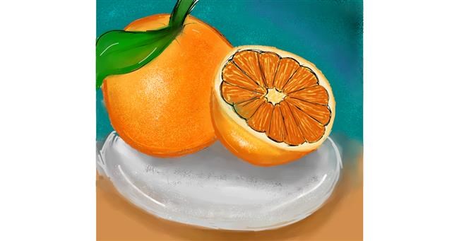 Drawing of Orange by Zeemal