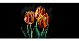 Drawing of Tulips by Chaching