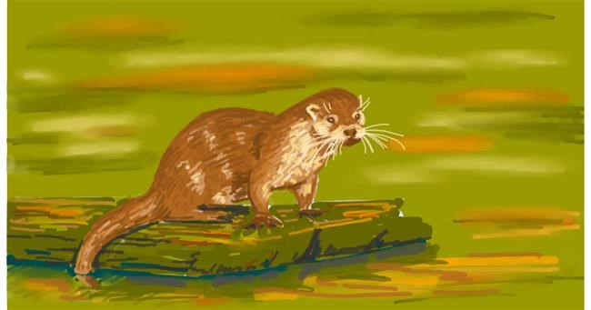 Drawing of Otter by shiNIN