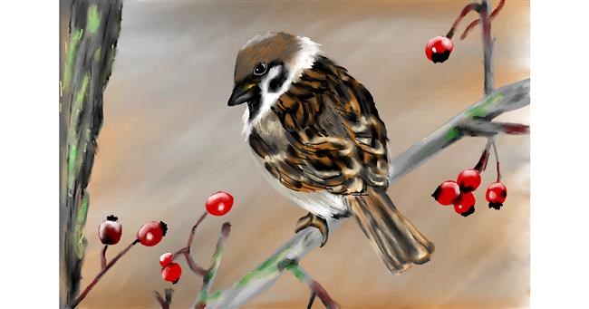 Drawing of Sparrow by RadiouChka