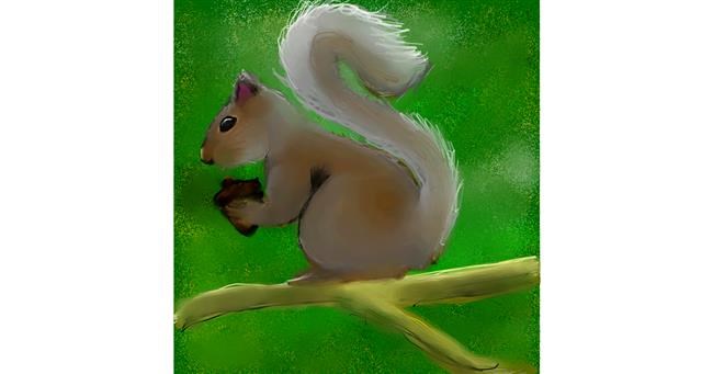 Drawing of Squirrel by 🌌Mom💕E🌌