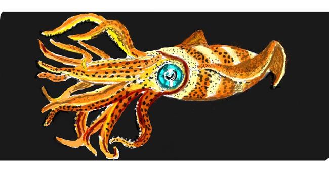 Drawing of Squid by QT