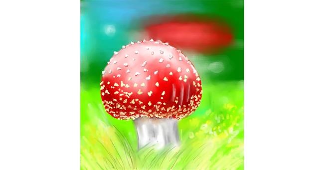 Drawing of Mushroom by ⋆su⋆vinci彡