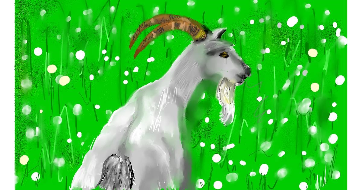 Drawing of Goat by SAM AKA MARGARET 🙄