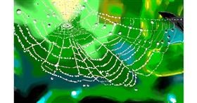 Drawing of Spider web by Herbert
