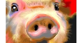 Drawing of Pig by Herbert