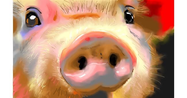 Drawing of Pig by Herbert
