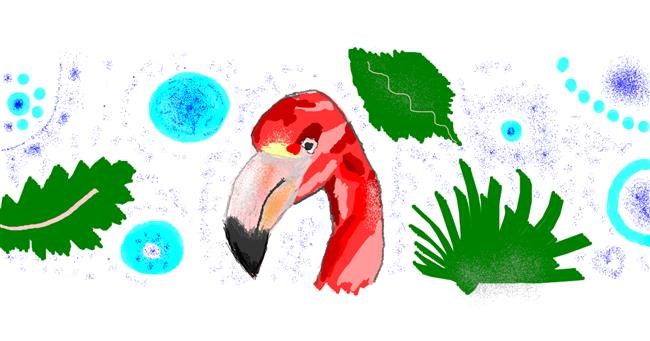 Drawing of Flamingo by kari