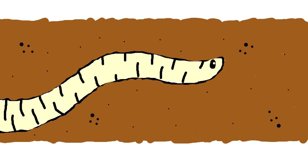 Drawing of Worm by bob