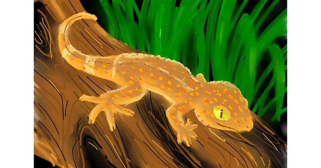 Drawing of Lizard by Kalina