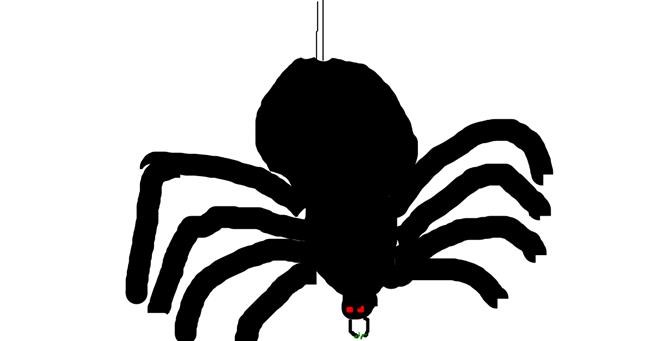 Drawing of Spider by glory