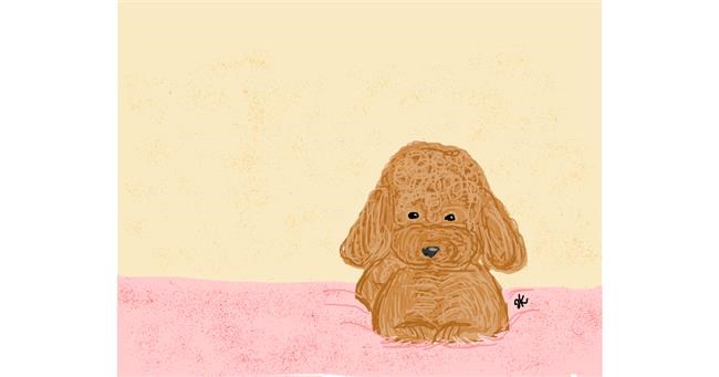 Drawing of Poodle by gLorIA