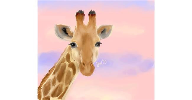 Drawing of Giraffe by Iris