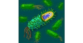 Drawing of Bacteria by Andromeda