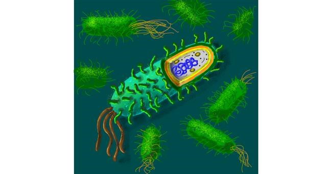 Drawing of Bacteria by Andromeda