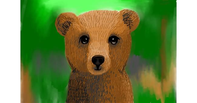 Drawing of Bear by Lollipop🍭