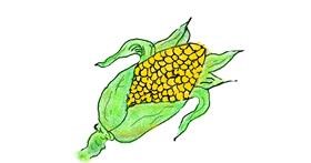 Drawing of Corn by tiny=)