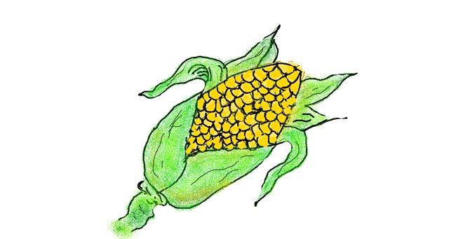 Drawing of Corn by tiny=)