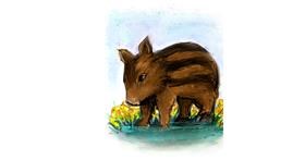Drawing of Wild boar by Mea