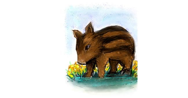 Drawing of Wild boar by Mea