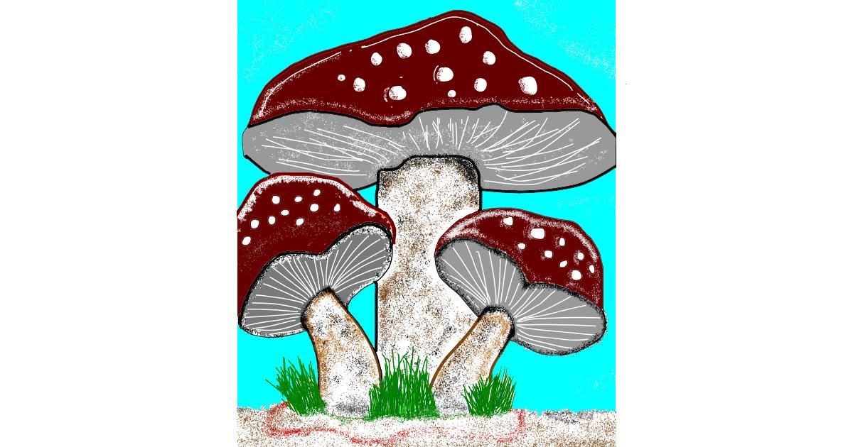 Full Size Drawing
