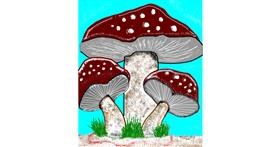 Drawing of Mushroom by 😋