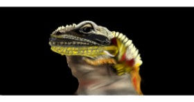 Drawing of Lizard by Çhåching