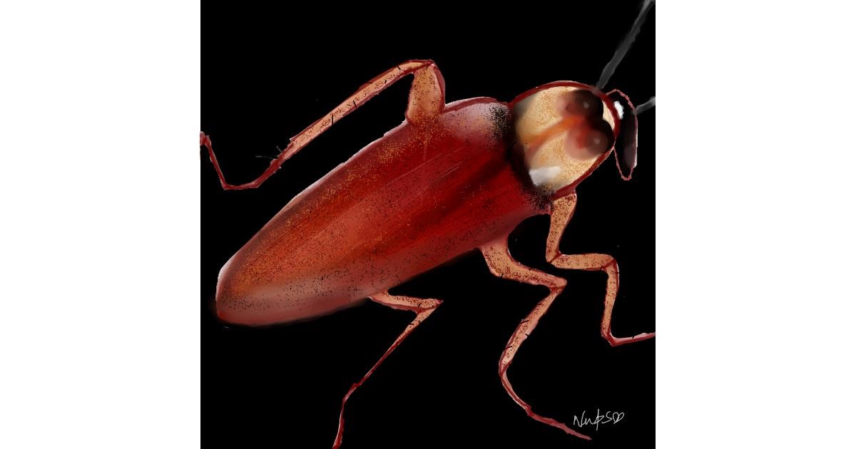Drawing of Cockroach by NUPSIE the GR8❤❤❤