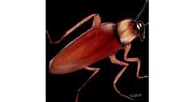 Drawing of Cockroach by NUPS