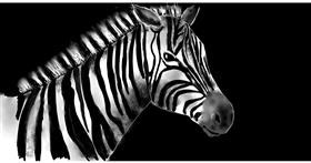 Zebra - autor: Eclat de Lune