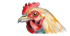 Drawing of Chicken by Kim