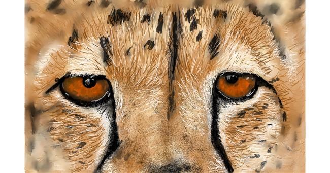 Drawing of Cheetah by Humo de copal