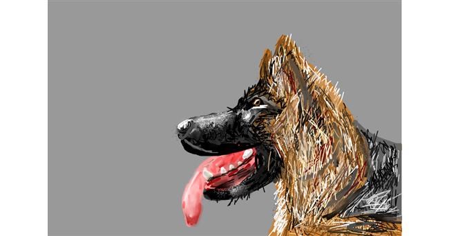 Hund-Zeichnung von Mia
