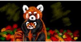 Crvena panda - autor: Eclat de Lune