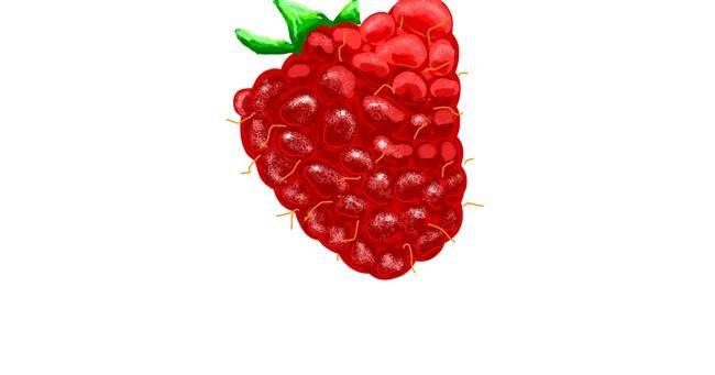 Drawing of Raspberry by Thomas