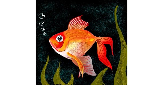 Drawing of Goldfish by Alex Berrhto