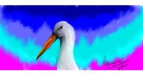 Drawing of Stork by Aneeyas