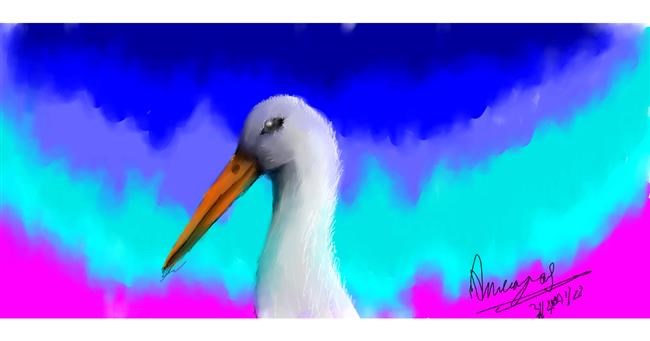 Drawing of Stork by Aneeyas