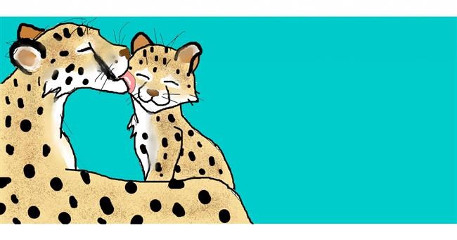 Drawing of Cheetah by Nicko