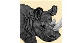Drawing of Rhino by KayXXXlee