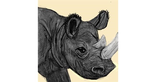 Drawing of Rhino by KayXXXlee