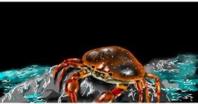 Drawing of Crab by Eclat de Lune