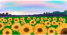 Drawing of Sunflower by Ana