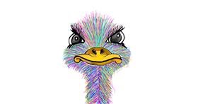 Drawing of Ostrich by Bri