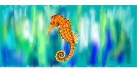 Drawing of Seahorse by Kim