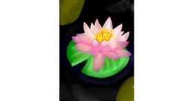 Drawing of Water lily by Moby 