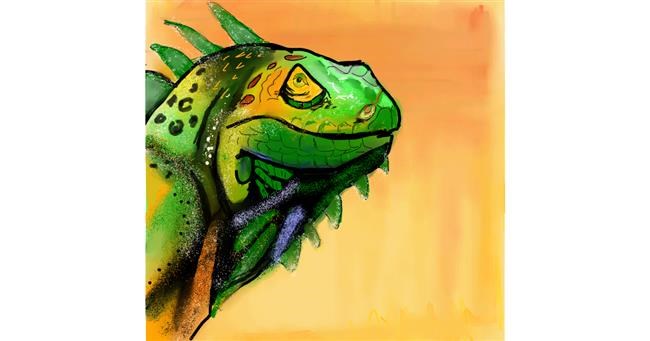 Drawing of Lizard by Bro