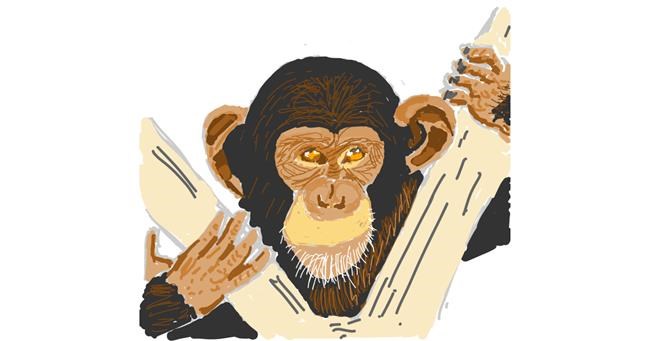 Drawing of Monkey by Coyote