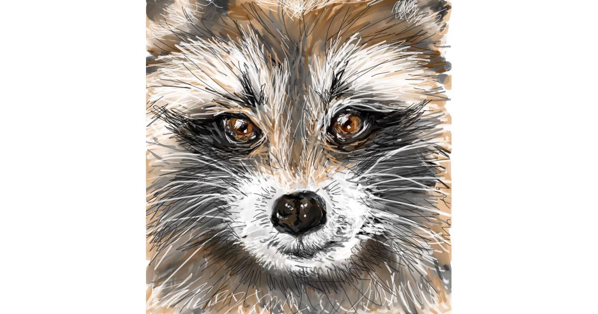 Drawing of Raccoon by 👽mint