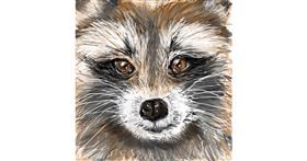 Drawing of Raccoon by 👽mint